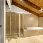 41 Snowski 125 Pic Charlie Brown